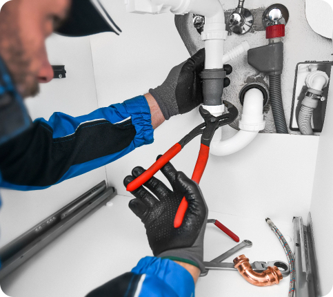 shutterstock_2317883751